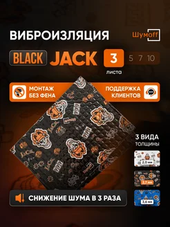 Шумоизоляция и виброизоляция автомобиля Black Jack 3л