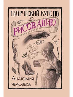 Творческий курс по рисованию. Анатомия человека. Грей М