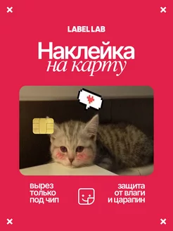 Наклейка на карту котик мем