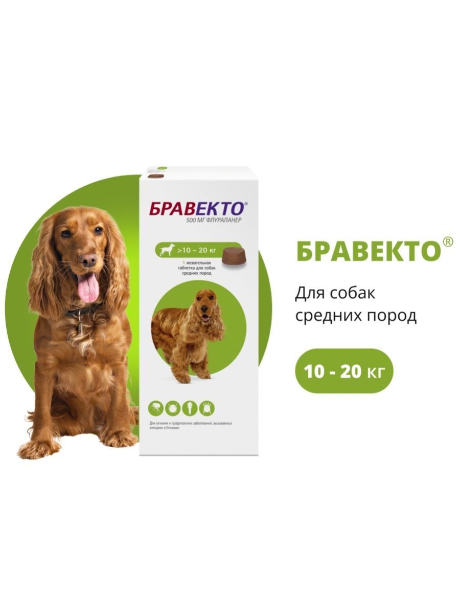 Бравекто для собак спб 10 20. Бравекто таблетки для собак 20-40. Бравекто капли для собак 10-20. Бравекто для собак до 10. Бравекто 112.5 мг.