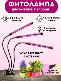 Фитолампы для растений