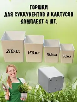 Горшки для кактусов и суккулентов 4шт