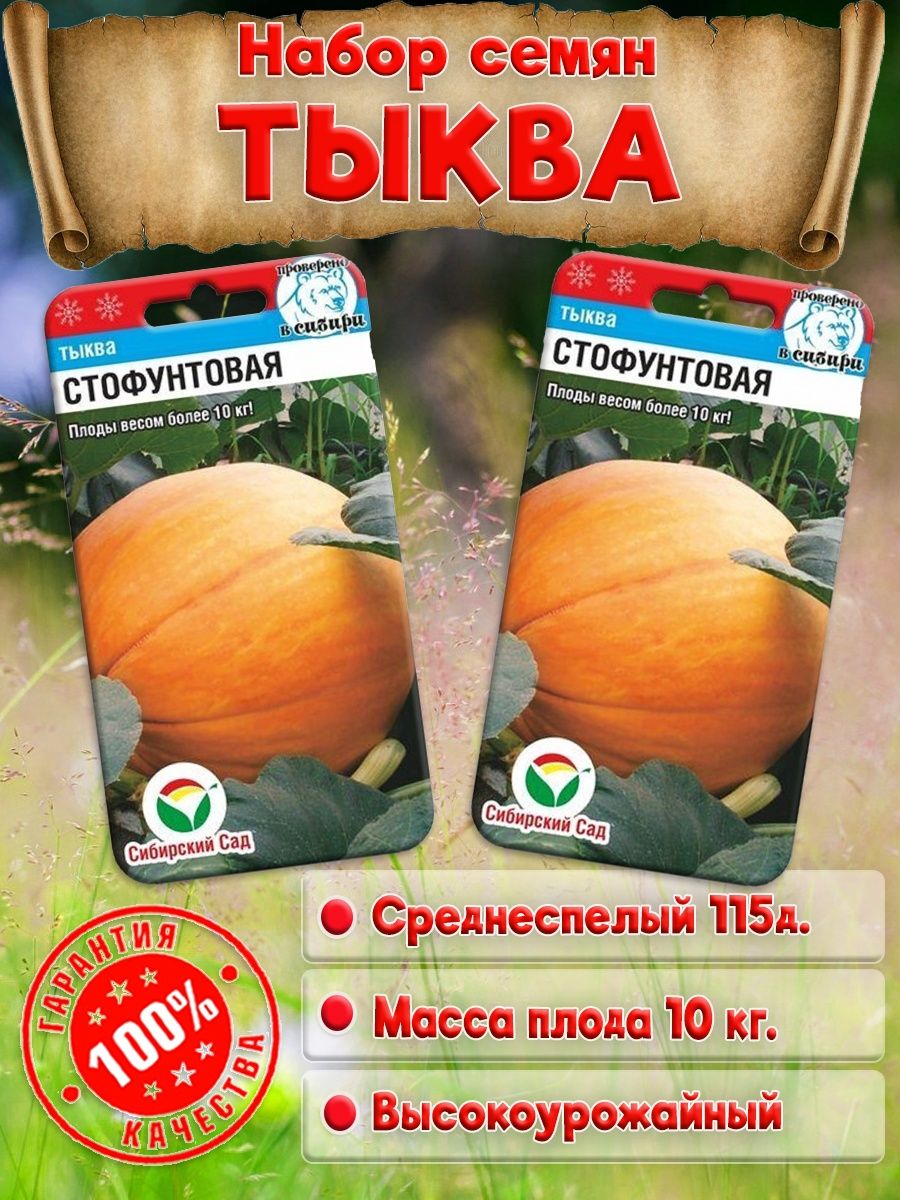 Тыква стофунтовая