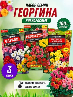 Семена цветов Георгина низкорослая 3 шт