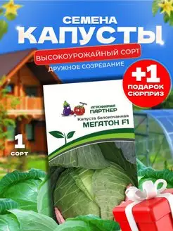 Капуста белокочанная среднепоздняя для квашения и хранения