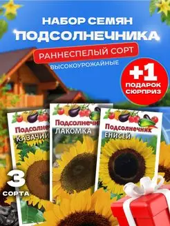 Семена подсолнечника для посадки раннеспелый урожайный