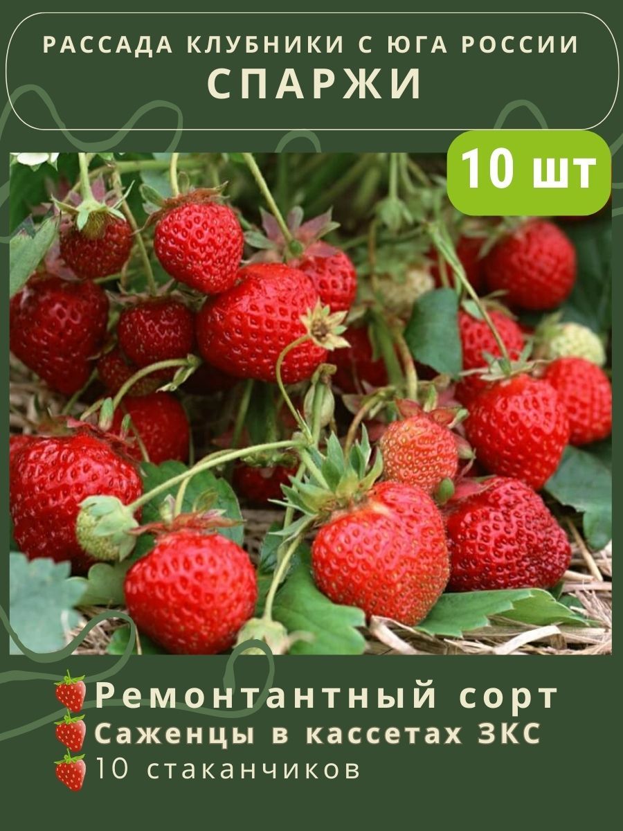 Клубника спаржи. Дом клубника. Продавец клубники.