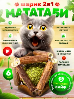 Игрушка для кошек мататаби с мятой 2в1