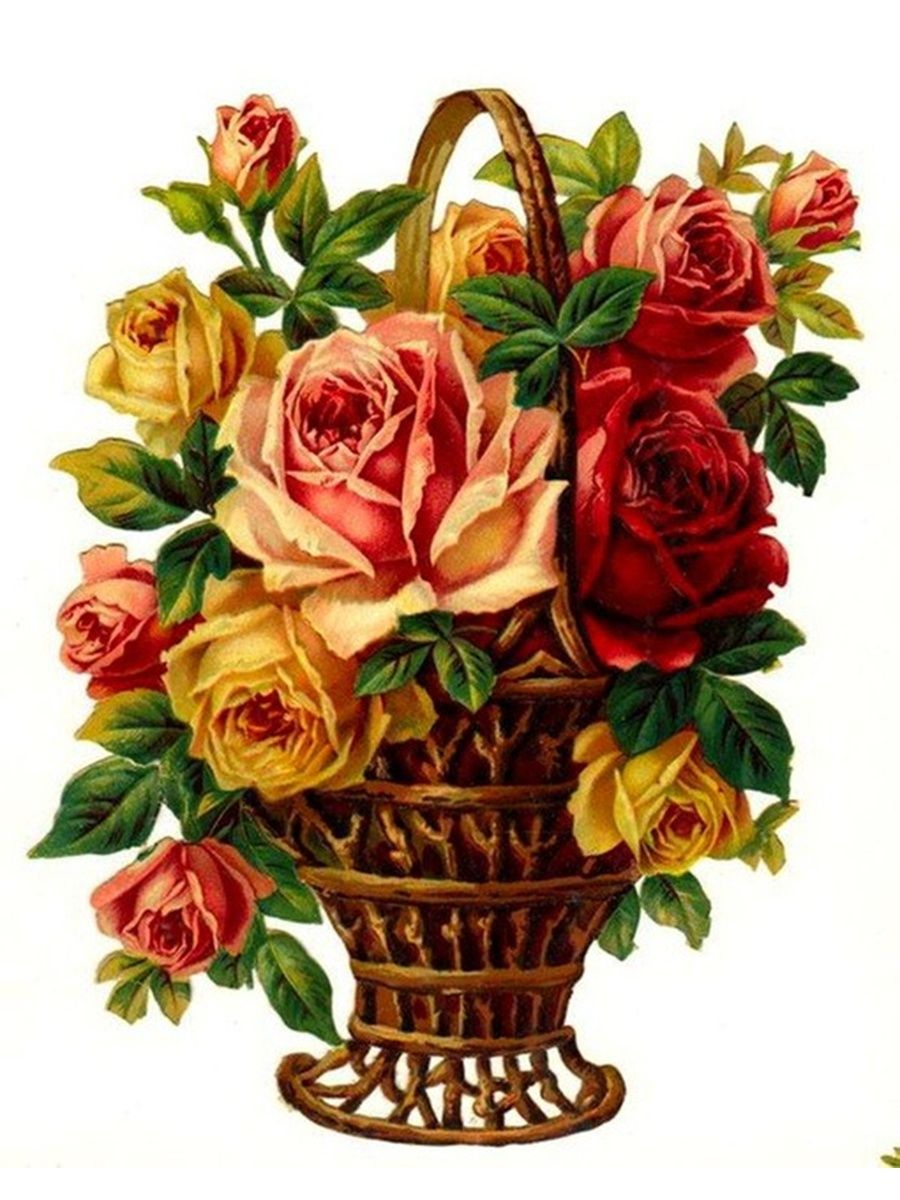 картинки цветы красивые букеты нарисованные