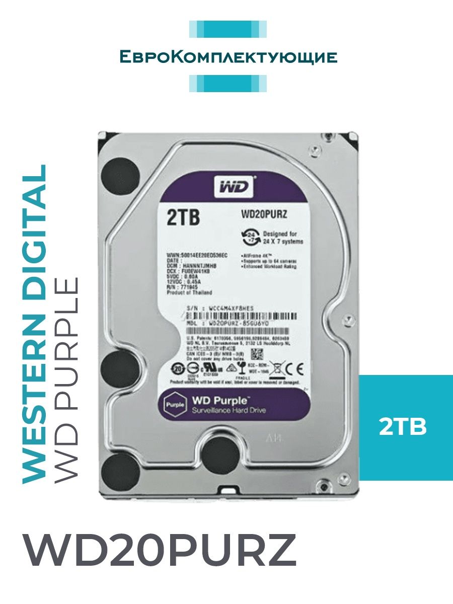 Wd20purz purple