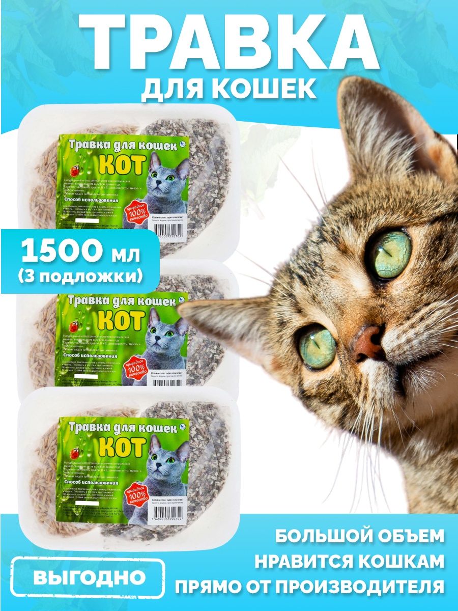 Эльф товары. Кетс Бест. Акция на наполнители!. Cats best баннер. Зоо Пассаж магазин СПБ.