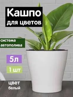 Кашпо для цветов 5 литров