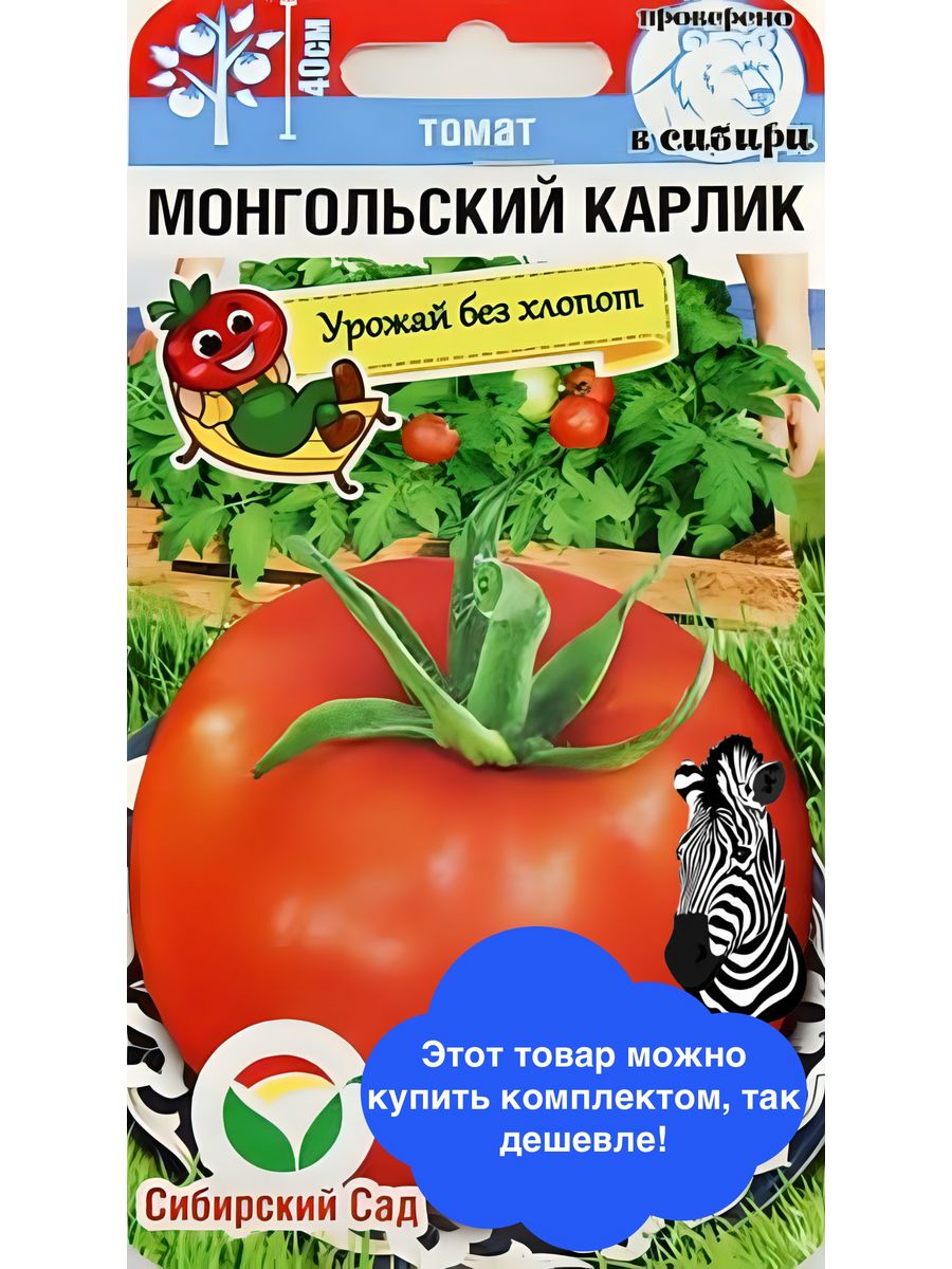 Помидоры монгол описание сорта фото отзывы. Томат монгольский карлик. Томат монгольский Скарлет. Монгольский карлик в кашпо. Томат монгольский Гном от партнера.