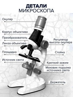 Микроскоп с образцами