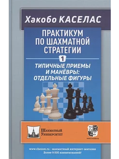 Практикум по шахматной стратегии-1. Типичные приёмы и