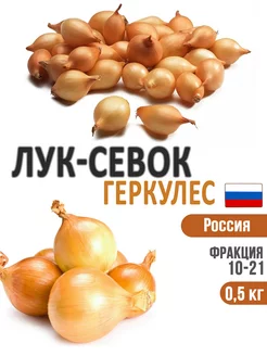 Лук севок озимый Геркулес 0,5 кг