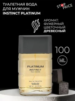 Туалетная вода мужская Instinct Platinum, 100 мл