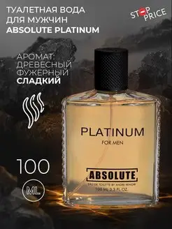 Туалетная вода мужская Absolute Platinum, 100 мл