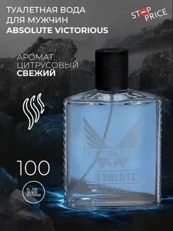 Туалетная вода мужская Absolute Victorious, 100 мл