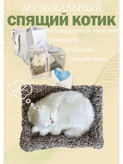 Спящий котик в подарочной упаковке