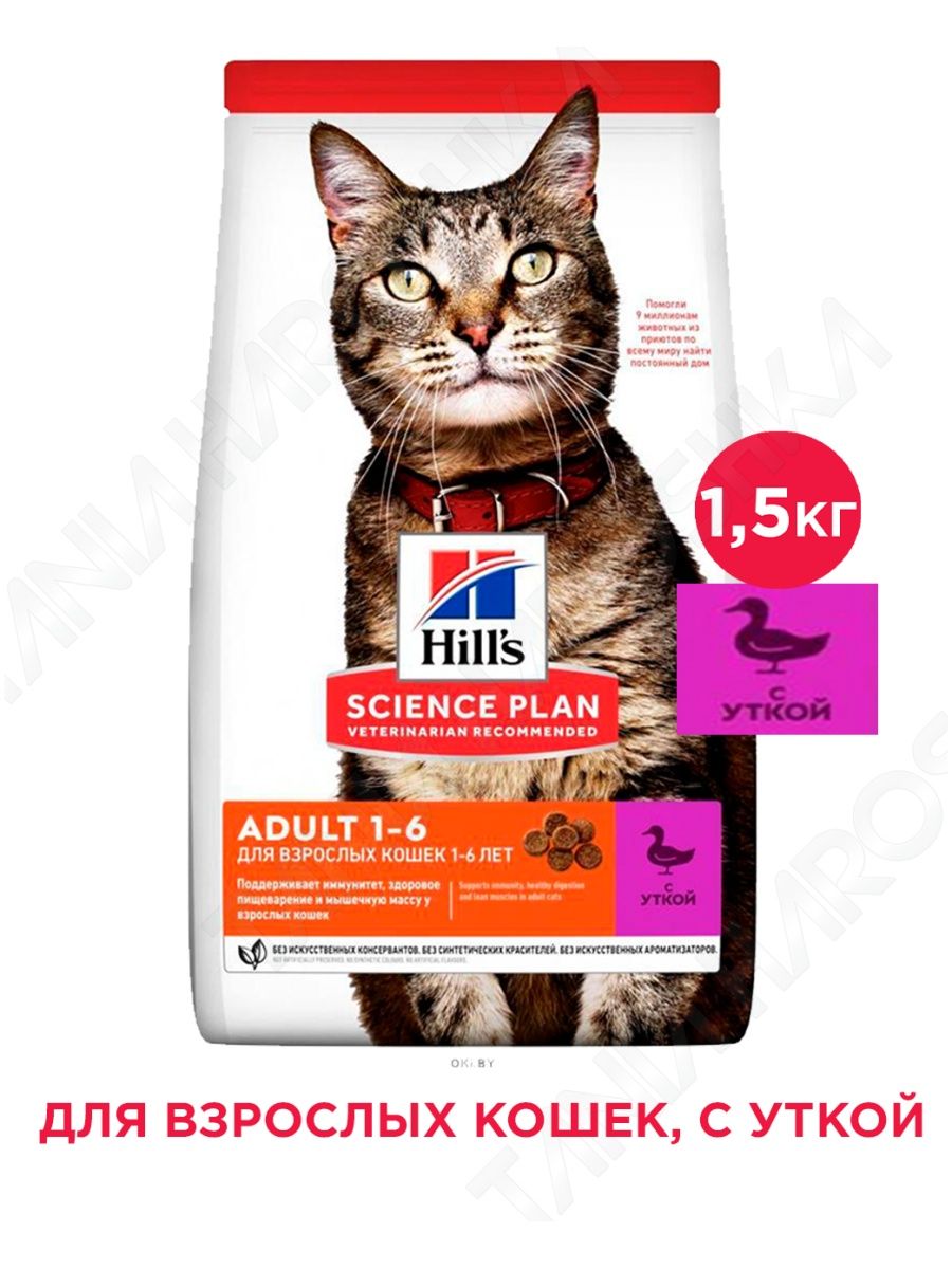 Хиллс для кошек отзывы. Хиллс с уткой. Hills Adult для кошек купить. Озон Хиллс сухой корм 1500 килограмм цена.