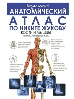 Популярный анатомический атлас по Никите Жукову кости и мыш