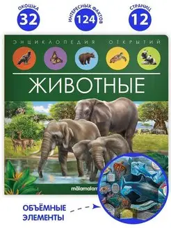 Детская книга с окошками Животные Энциклопедия открытий