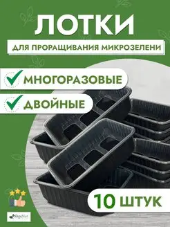 Лотки для выращивания микрозелени