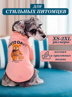 Одежда для собак и кошек