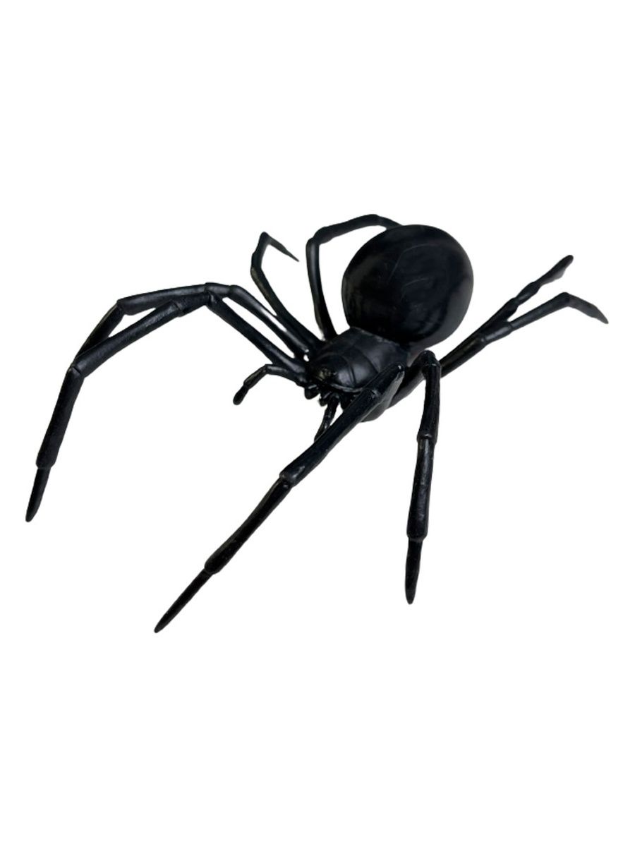 16 вдова. Черная вдова паук. Статуэтка паук. Фигурка Safari Ltd черная вдова 545406.