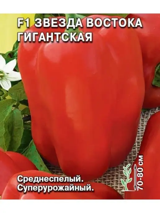 Семена Дыня Ранняя Сладкая, 0,5 г СеДек 13097167 купить в интернет-магазинеWildberries