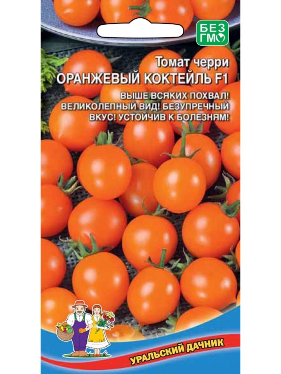 Томат оранжевое отзывы фото урожайность характеристика. Томат оранжевый коктейль Уральский Дачник. Томат оранжевый коктейль f1 уд. Томат черри оранжевый f1. Томат черри оранжевый коктейль f1.