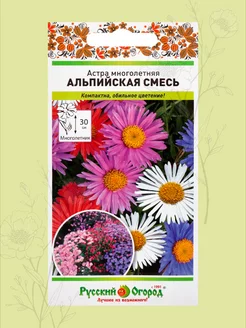 Семена астры многолетней Альпийская смесь