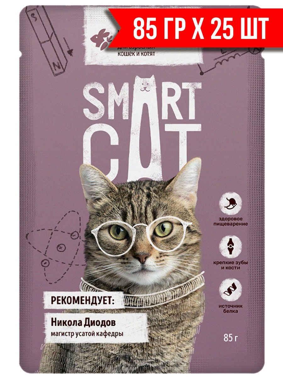 Smart cat