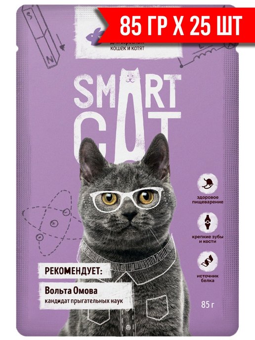 Smart cat