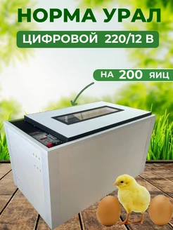 Инкубатор для яиц Норма Урал на 200яиц