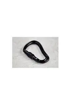 BLAZE SG Screw Gate Carabiner