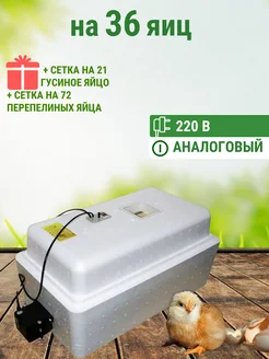 Инкубатор Несушка на 36 яиц 220 В