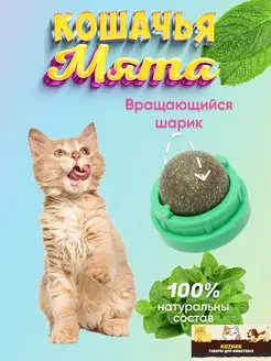 Кошачья мята шарик - игрушка леденец