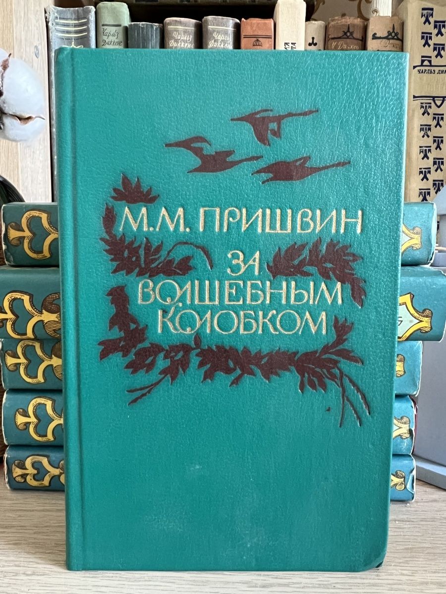 За волшебным колобком пришвин. В краю непуганых птиц пришвин. В краю непуганых птиц. Первая книга Пришвина в краю непуганых птиц.