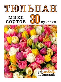 Тюльпан Луковица, Микс сортов, 30 шт (Любовь морковь)