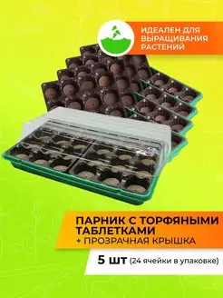 Парник с торфяными таблетками