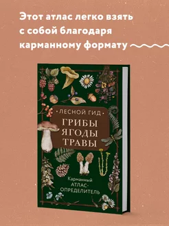 Лесной гид грибы, ягоды, травы