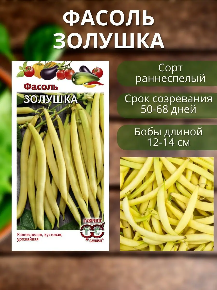 Семена фасоли Гавриш 156149788 купить в интернет-магазине Wildberries