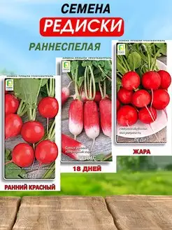 Семена редис раннеспелый