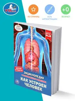 Книга детская энциклопедия с заданиями Как устроен человек