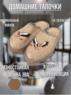 Тапочки войлочные мужские