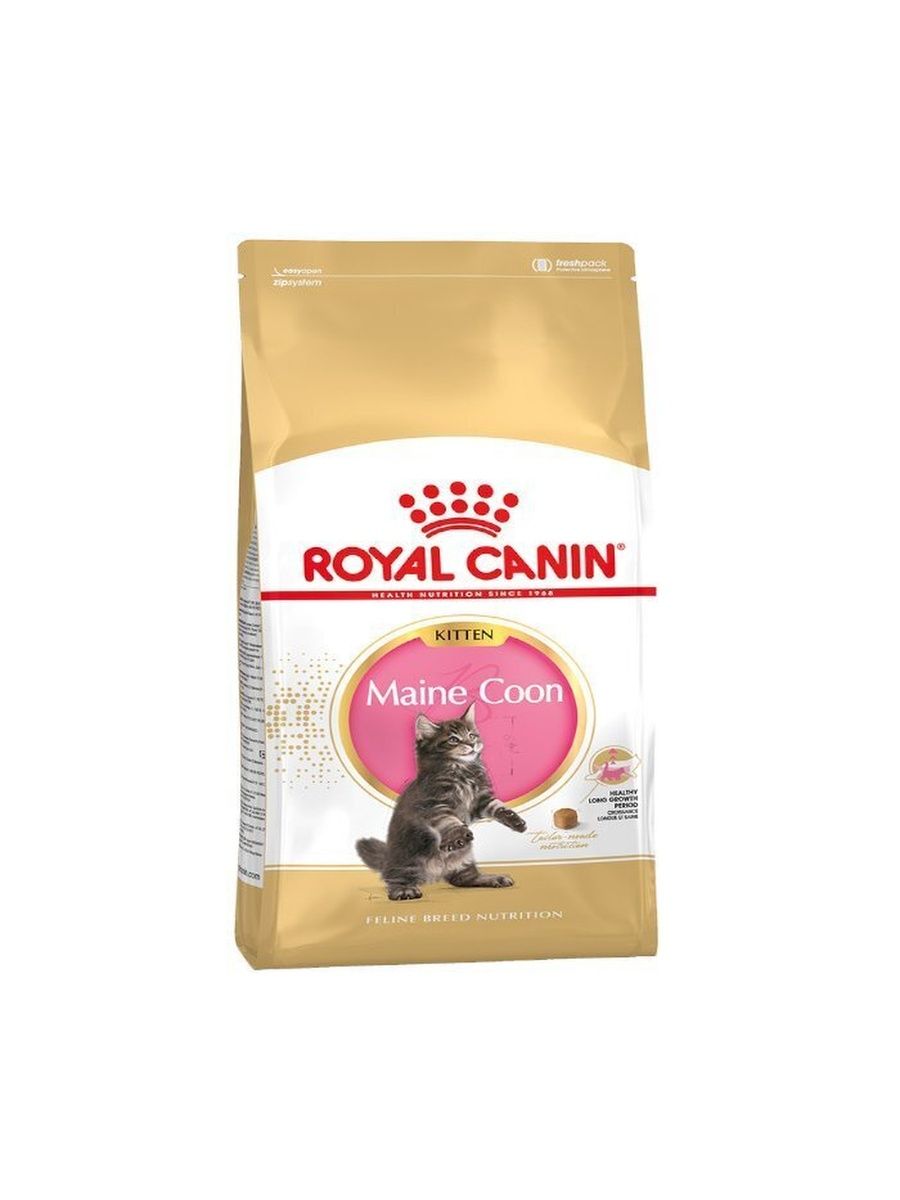 Royal canin maine coon