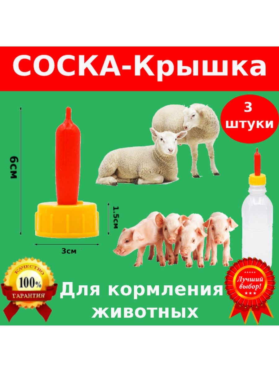 Сказка о барашке в бутылке