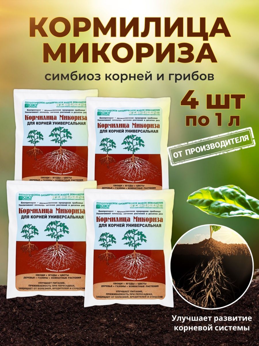 Кормилица микориза. Микориза (био) стимулятор корнеобразования 20г Ортон/70. Микориза удобрение. БАШИНКОМ.